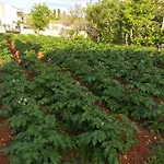 Jurman 3* Matohanci